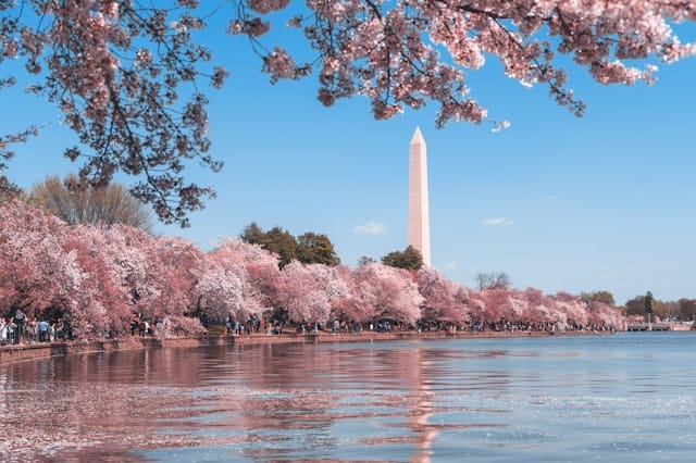 Agentic 101 DC Workshop - Full Agenda Released